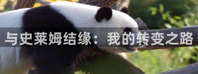 贝勒漫画网站入口：与史莱姆结缘：我的转变之路